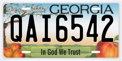 GA license plate QAI6542