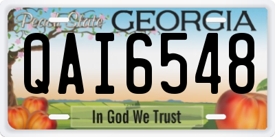 GA license plate QAI6548
