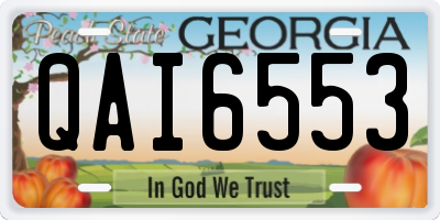 GA license plate QAI6553