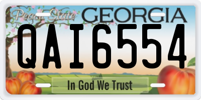 GA license plate QAI6554