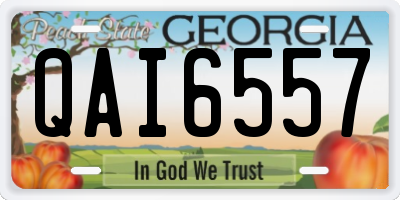 GA license plate QAI6557