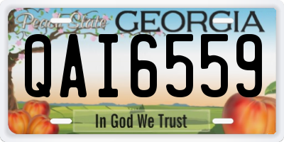GA license plate QAI6559