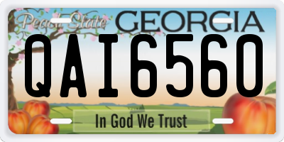 GA license plate QAI6560