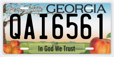 GA license plate QAI6561