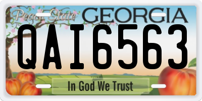 GA license plate QAI6563