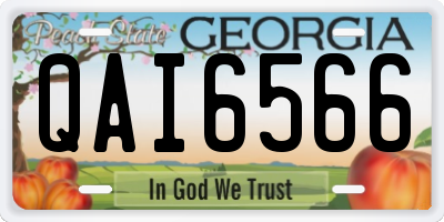GA license plate QAI6566