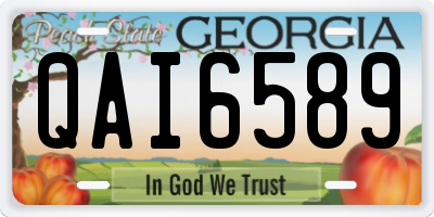 GA license plate QAI6589