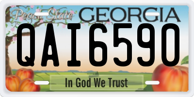 GA license plate QAI6590