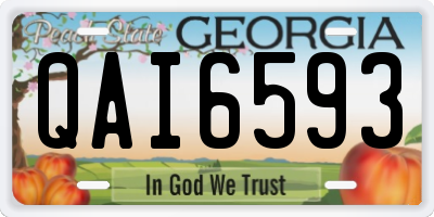 GA license plate QAI6593