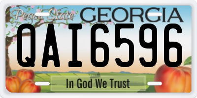 GA license plate QAI6596