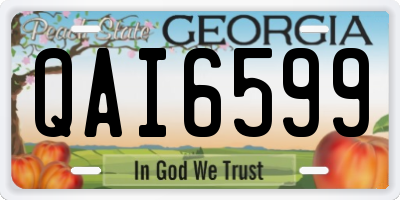GA license plate QAI6599