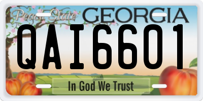 GA license plate QAI6601