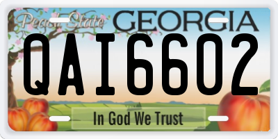 GA license plate QAI6602