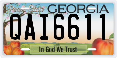GA license plate QAI6611