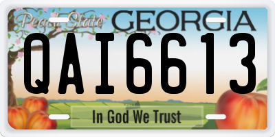 GA license plate QAI6613