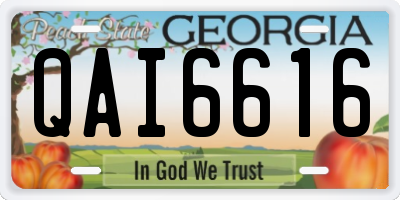GA license plate QAI6616
