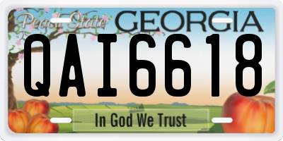 GA license plate QAI6618