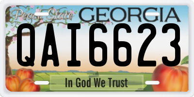GA license plate QAI6623