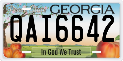 GA license plate QAI6642