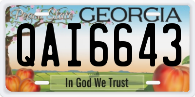 GA license plate QAI6643