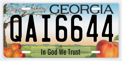 GA license plate QAI6644