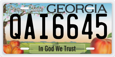 GA license plate QAI6645