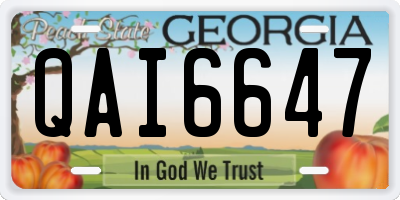 GA license plate QAI6647