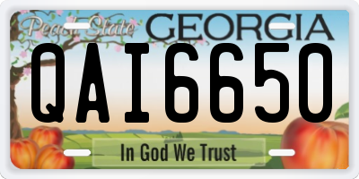 GA license plate QAI6650