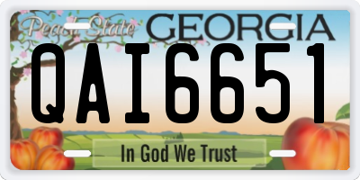 GA license plate QAI6651