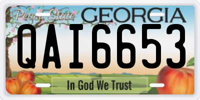 GA license plate QAI6653