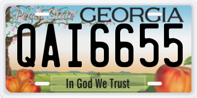 GA license plate QAI6655