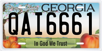 GA license plate QAI6661