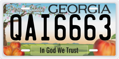GA license plate QAI6663