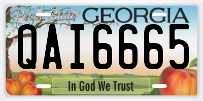 GA license plate QAI6665