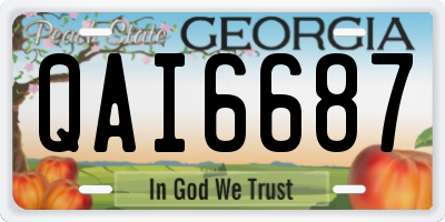 GA license plate QAI6687