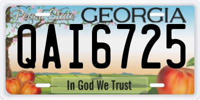 GA license plate QAI6725