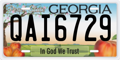 GA license plate QAI6729