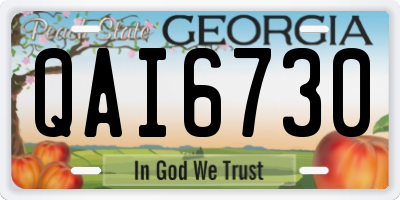 GA license plate QAI6730
