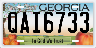 GA license plate QAI6733