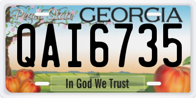 GA license plate QAI6735
