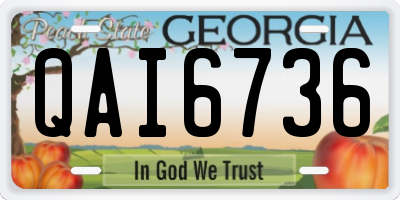 GA license plate QAI6736