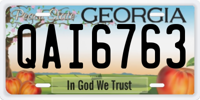 GA license plate QAI6763