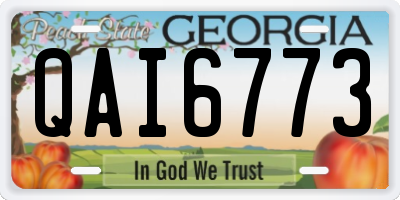 GA license plate QAI6773