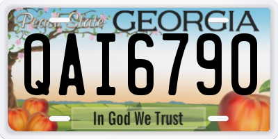 GA license plate QAI6790