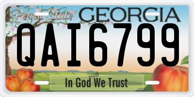 GA license plate QAI6799