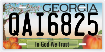 GA license plate QAI6825