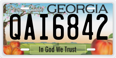 GA license plate QAI6842