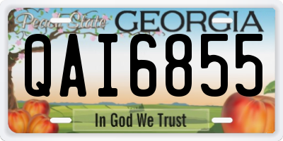 GA license plate QAI6855