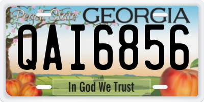 GA license plate QAI6856