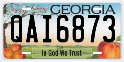 GA license plate QAI6873